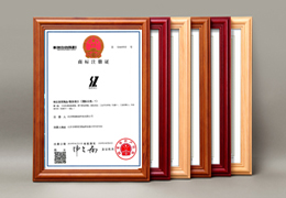 赛智新创英文商标